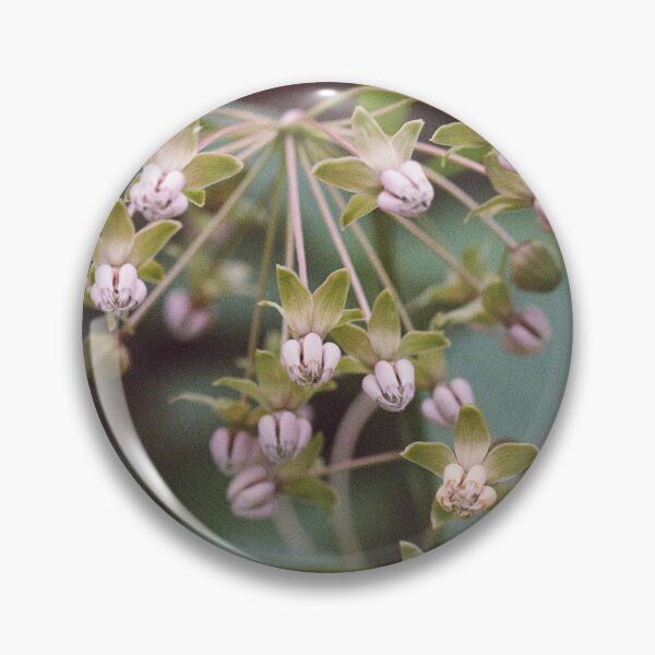 Item preview, Milkweed designed and sold by ztrnorge.