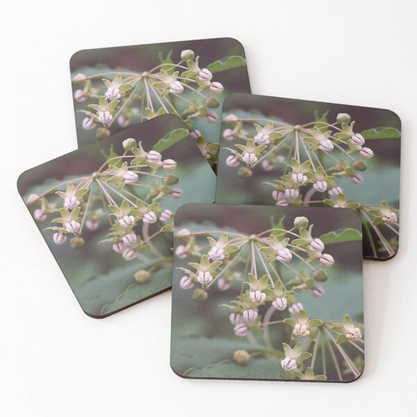 Item preview, Milkweed designed and sold by ztrnorge.