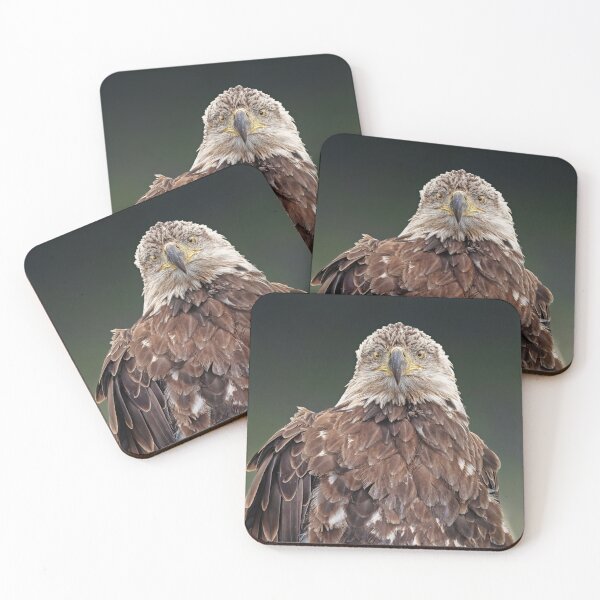 Item preview, Golden Eagle 4 designed and sold by Alex Preiss.