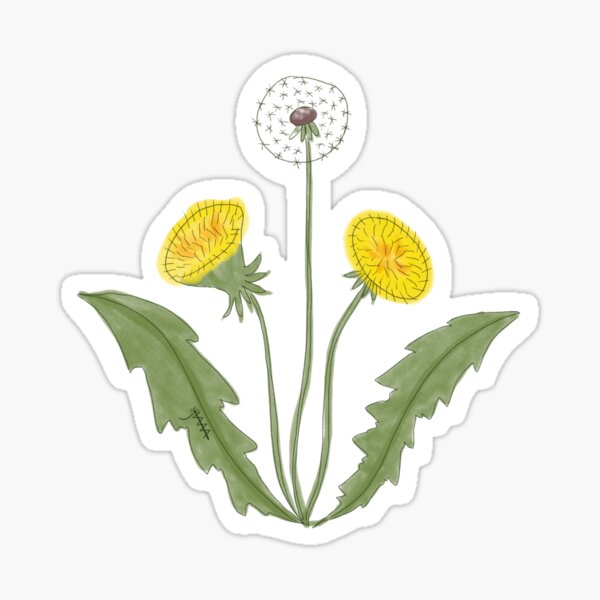 Item preview, Dandelion designed and sold by jessienam.