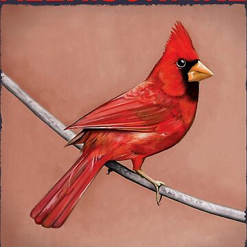 vintage cardinals memorabilia Art Collection