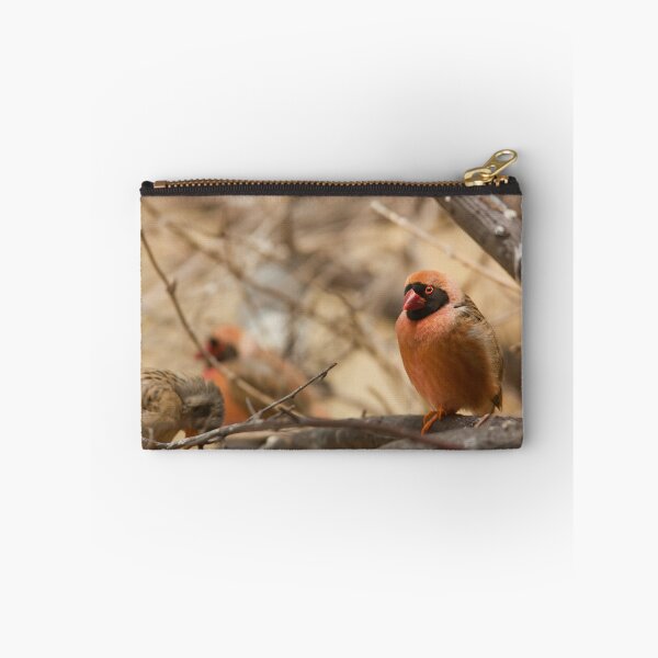 Item preview, Southern Red Bishop designed and sold by Dominika Aniola.