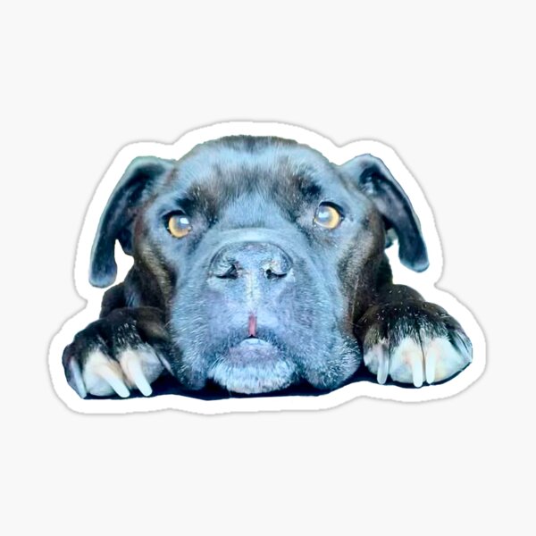 Puppy Sticker
