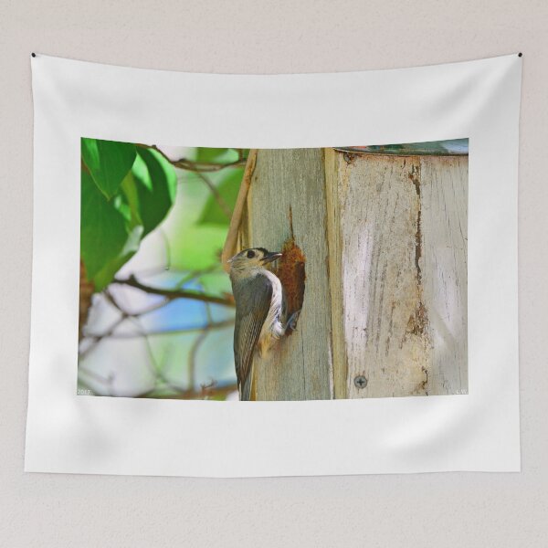 Item preview, Titmouse Home designed and sold by LisaWootenPhoto.