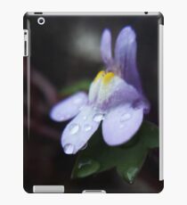 Freezing Winter Morning Dew iPad Case/Skin