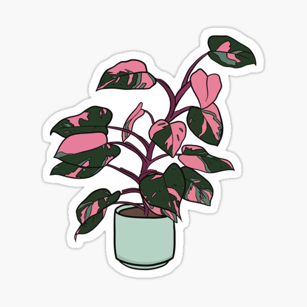 Item preview, Pink Princess Philodendron, Tropical Houseplant  designed and sold by RecklessSower.
