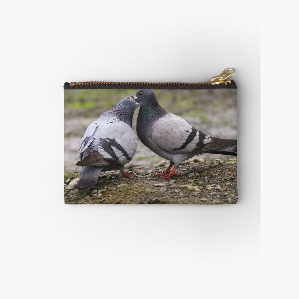 Item preview, Pigeon courtship designed and sold by GreyFeatherPhot.