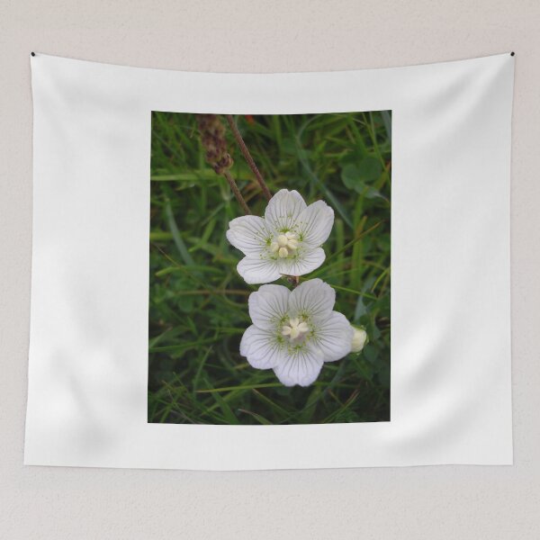 Item preview, Grass of Parnassus designed and sold by lezvee.