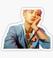 "#BOYFRIEND", Chanyeol Sticker Sticker