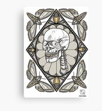 Moth Mandala II Canvas Print