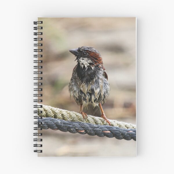Item preview, Soggy Sparrow designed and sold by GreyFeatherPhot.