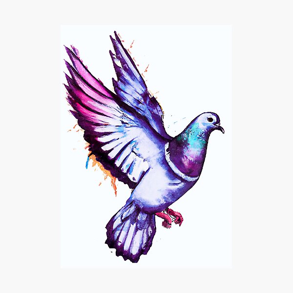 11 Flying Pigeon Tattoo Designs