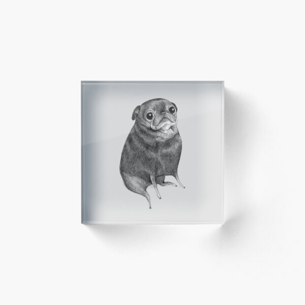 Sweet Black Pug Acrylic Block