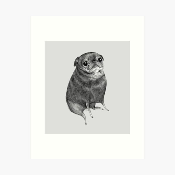 Sweet Black Pug Art Print