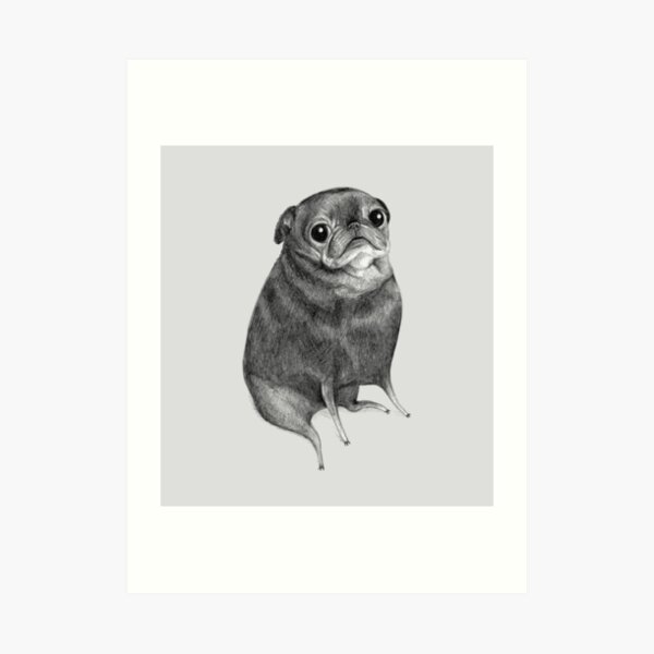 Sweet Black Pug Art Print