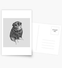 Sweet Black Pug Postcards