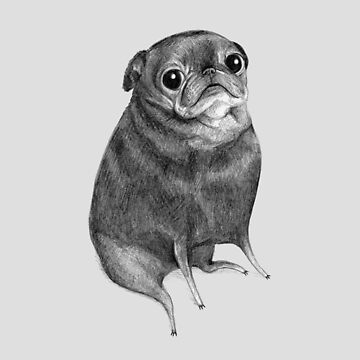 Artwork thumbnail, Sweet Black Pug by SophieCorrigan