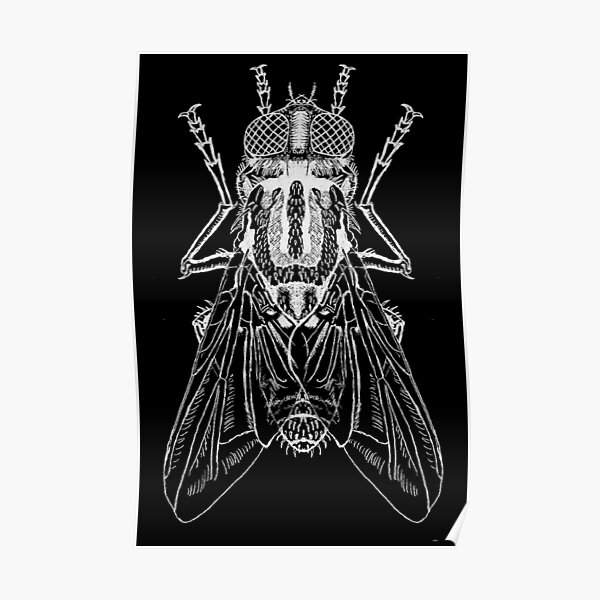 beelzebub lord of the flies