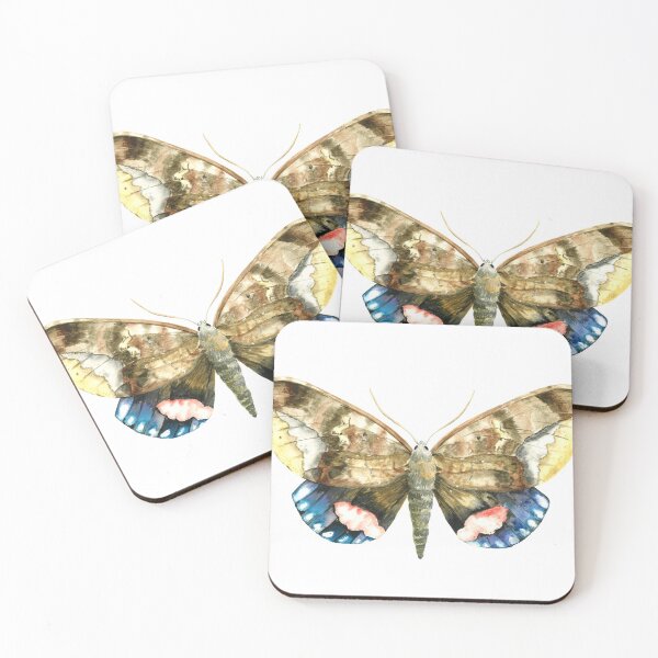 Item preview, Phyllodes imperialis, Pink Underwing Moth designed and sold by Nat Herington.