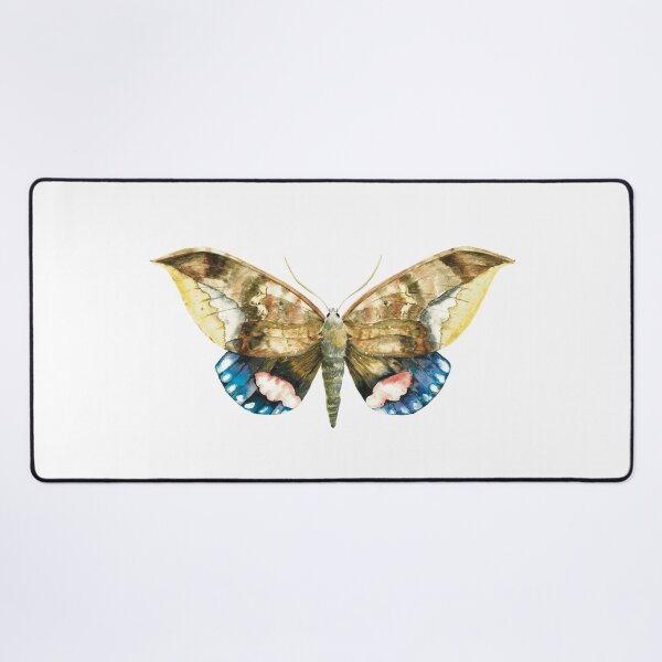 Item preview, Phyllodes imperialis, Pink Underwing Moth designed and sold by Nat Herington.