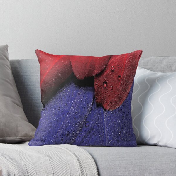 Item preview, Water drops on feather designed and sold by BONBcreative.