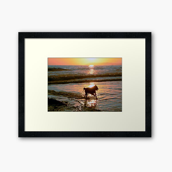 Pure Joy Framed Art Print