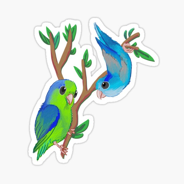 Pacific parrotlets Sticker