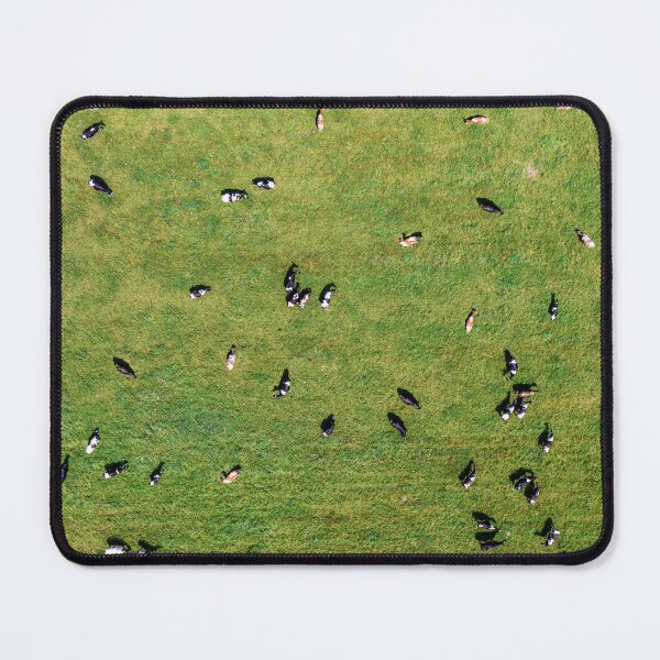 Item preview, Large herd of cows on green pasture designed and sold by Lukasz Szczepanski.