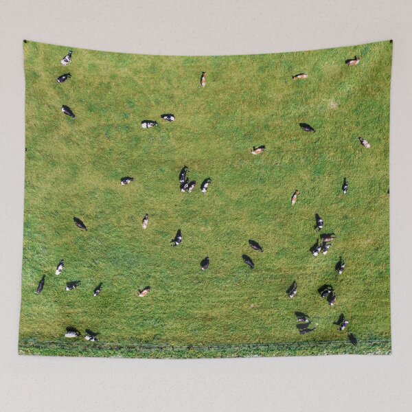 Item preview, Large herd of cows on green pasture designed and sold by Lukasz Szczepanski.