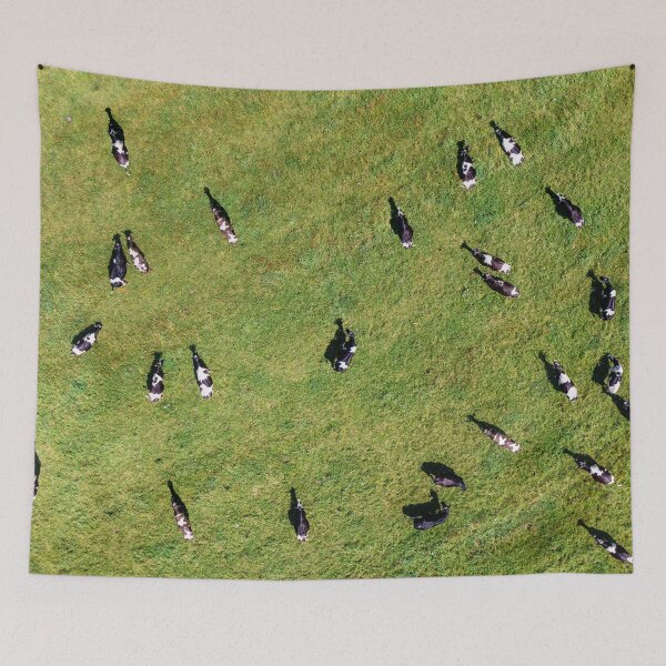 Item preview, Large herd of cows on green pasture designed and sold by Lukasz Szczepanski.