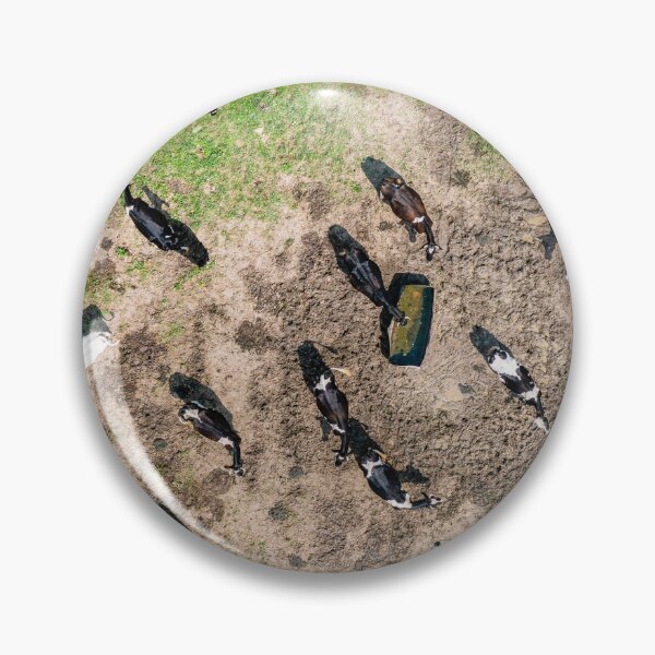 Item preview, Herd of cows by the drinker designed and sold by Lukasz Szczepanski.