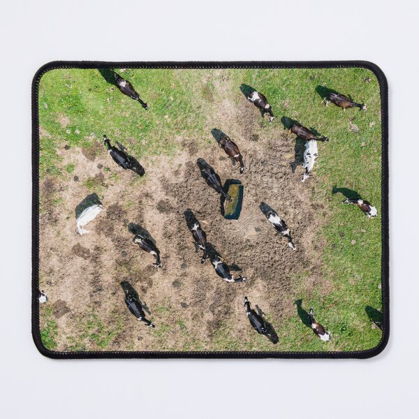 Item preview, Herd of cows by the drinker designed and sold by Lukasz Szczepanski.