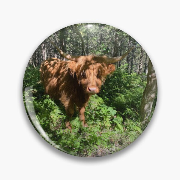 Item preview, Scottish Highland Cattle Cow 4034 designed and sold by SaarelaHighland.