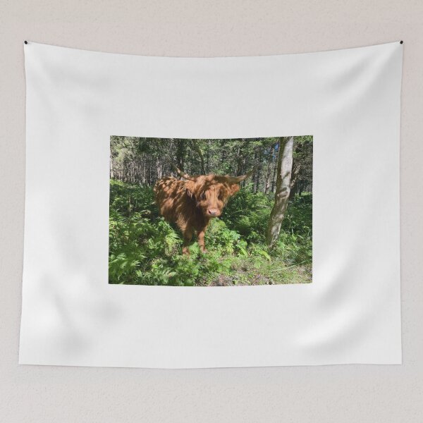 Item preview, Scottish Highland Cattle Cow 4034 designed and sold by SaarelaHighland.