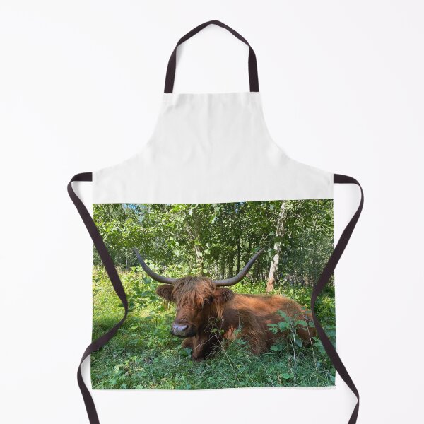 Aperçu de l'œuvre Scottish Highland Cattle Cow 4035 créée et vendue par SaarelaHighland.