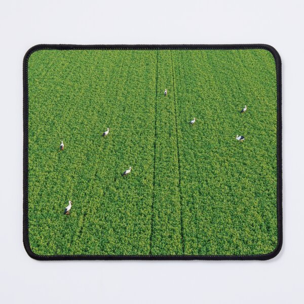 Item preview, Herd of storks seeking for food designed and sold by Lukasz Szczepanski.