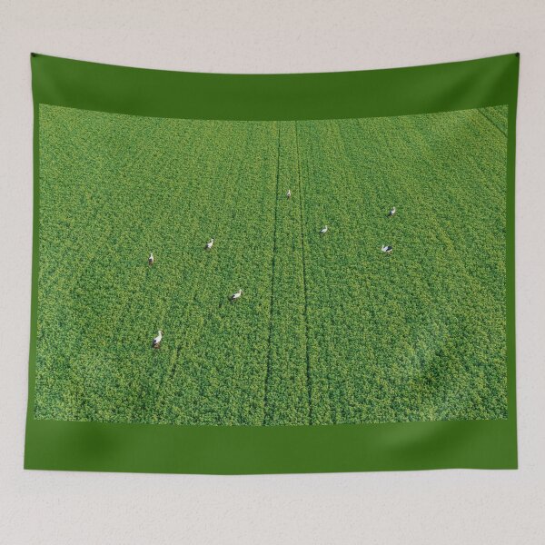 Item preview, Herd of storks seeking for food designed and sold by Lukasz Szczepanski.