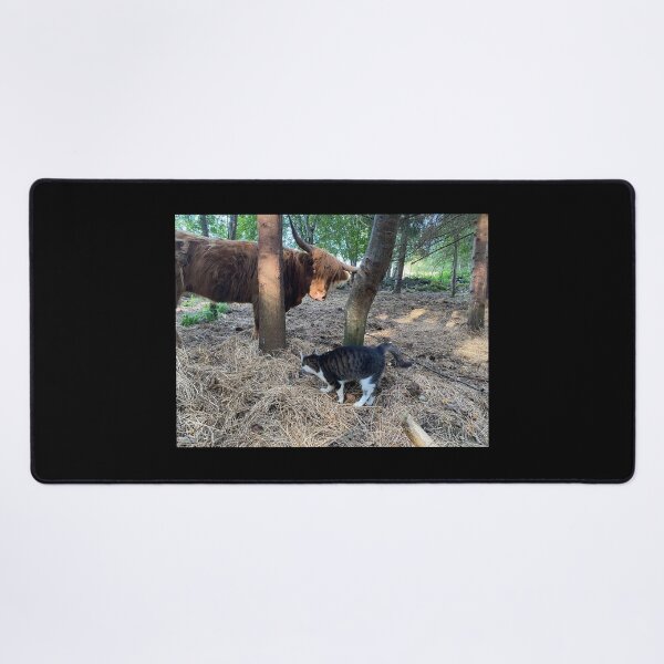 Item preview, Scottish Highland Cattle Cow and cat 4037 designed and sold by SaarelaHighland.