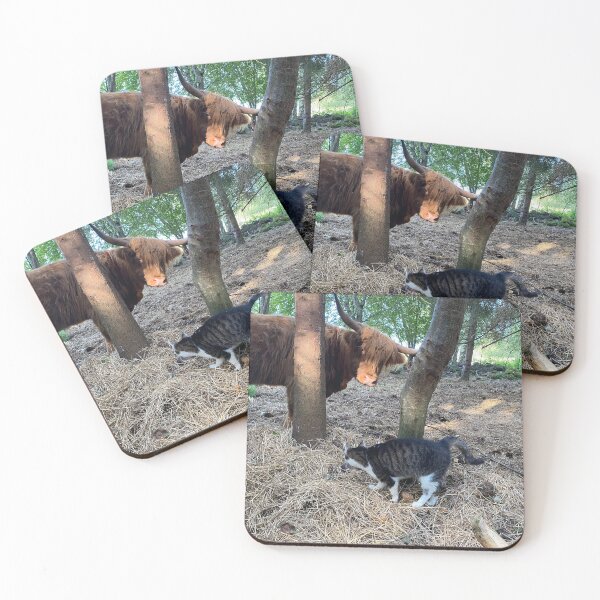 Item preview, Scottish Highland Cattle Cow and cat 4037 designed and sold by SaarelaHighland.
