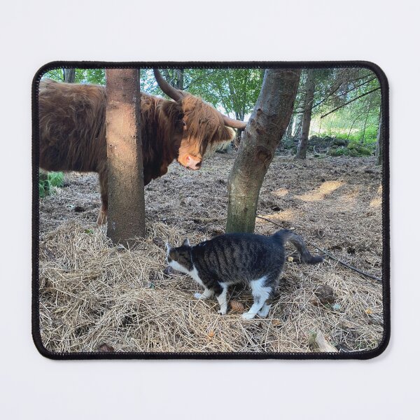 Item preview, Scottish Highland Cattle Cow and cat 4037 designed and sold by SaarelaHighland.