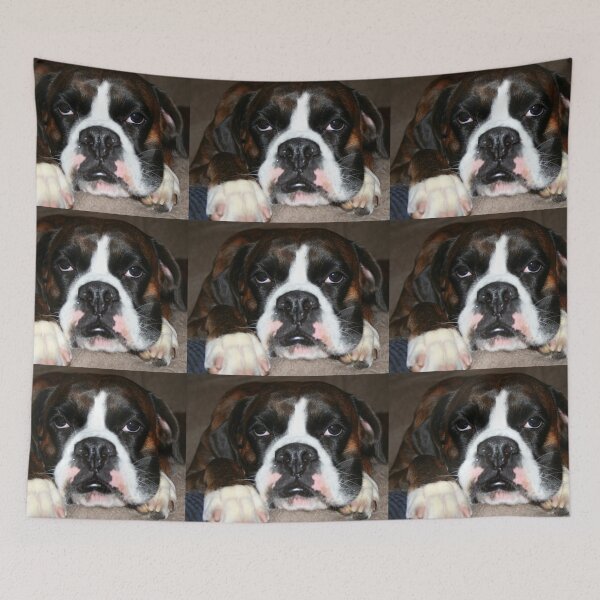 Item preview, Not Again!  -Boxer Dogs Series- designed and sold by Evita.