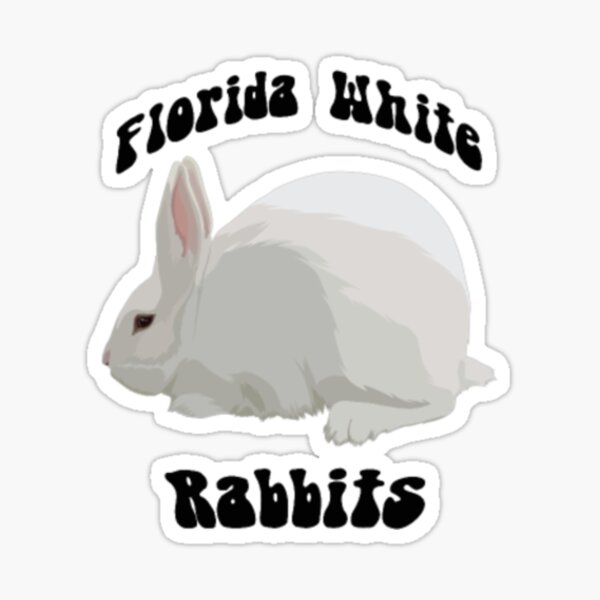 "Florida White rabbits" Sticker for Sale by katarinaer | Redbubble