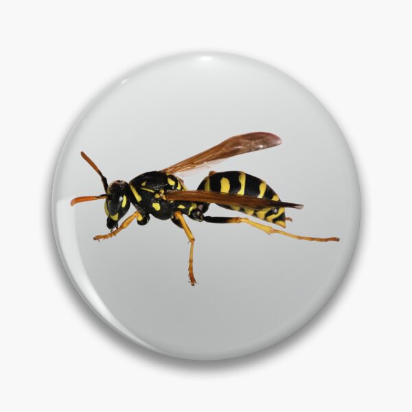 Item preview, Gentle Wasp designed and sold by RainbowSpinkle.