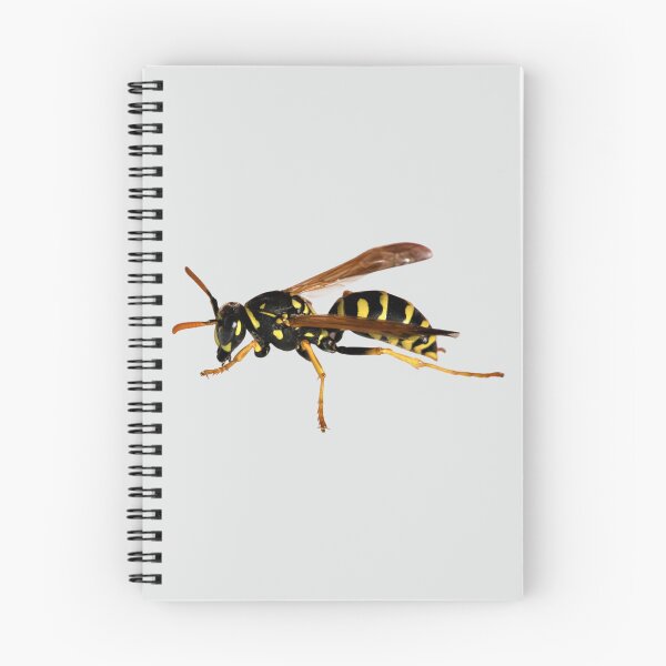 Item preview, Gentle Wasp designed and sold by RainbowSpinkle.