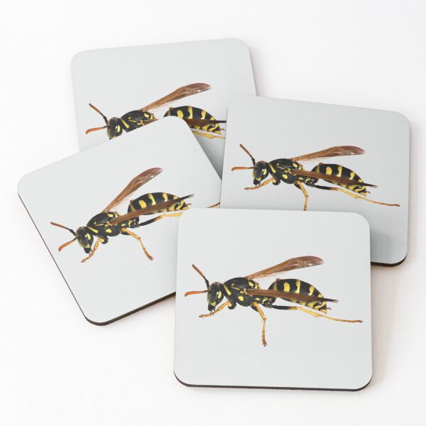 Item preview, Gentle Wasp designed and sold by RainbowSpinkle.