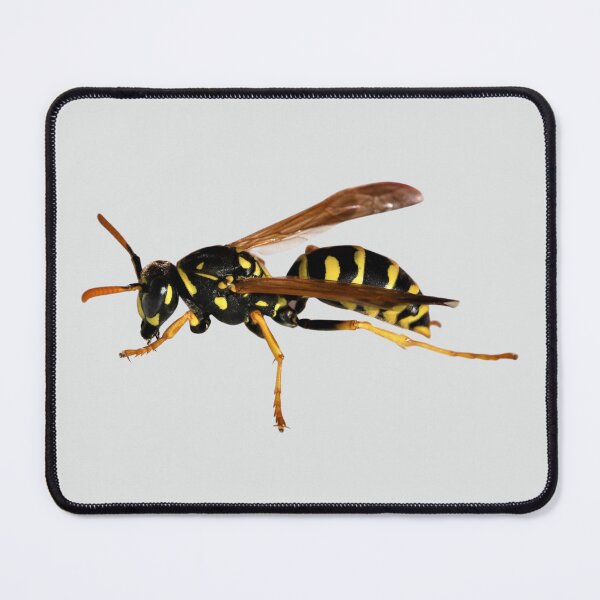 Item preview, Gentle Wasp designed and sold by RainbowSpinkle.