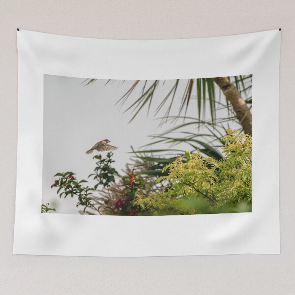 Item preview, Flying Sparrow Bird female caught in motion flying designed and sold by JJVXPHOTOGRAPHY.