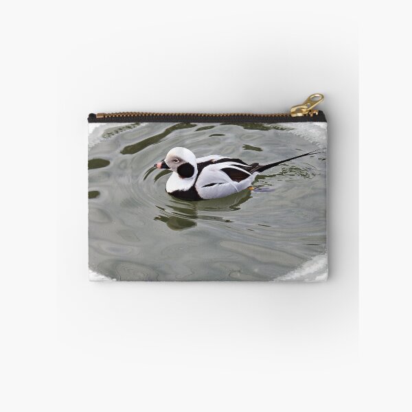 Item preview,    Long Tailed Duck designed and sold by mrcoradour.