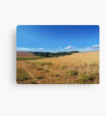 Countryside Canvas Print