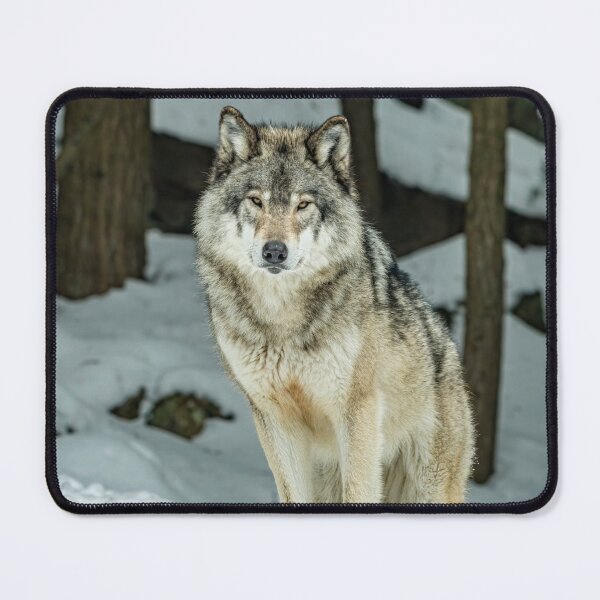 Item preview, Timber Wolf designed and sold by Michael Cummings.